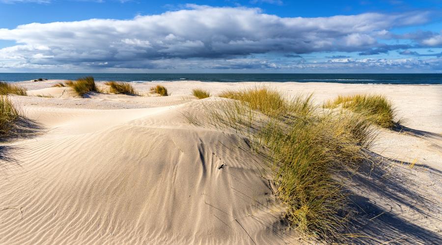 Las mejores playas de Gran Canaria: Un paraíso de arena y mar a tu alcance Salobre Hotel Resort & Serenity Maspalomas Las mejores playas de Gran Canaria: Un paraíso de arena y mar a tu alcance Salobre Hotel Resort & Serenity Maspalomas
