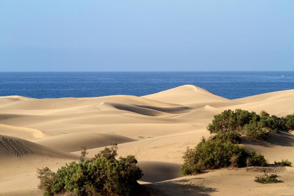 Salobre Hotel Resort & Serenity Salobre Hotel Resort & Serenity Maspalomas Salobre Hotel Resort & Serenity Salobre Hotel Resort & Serenity Maspalomas